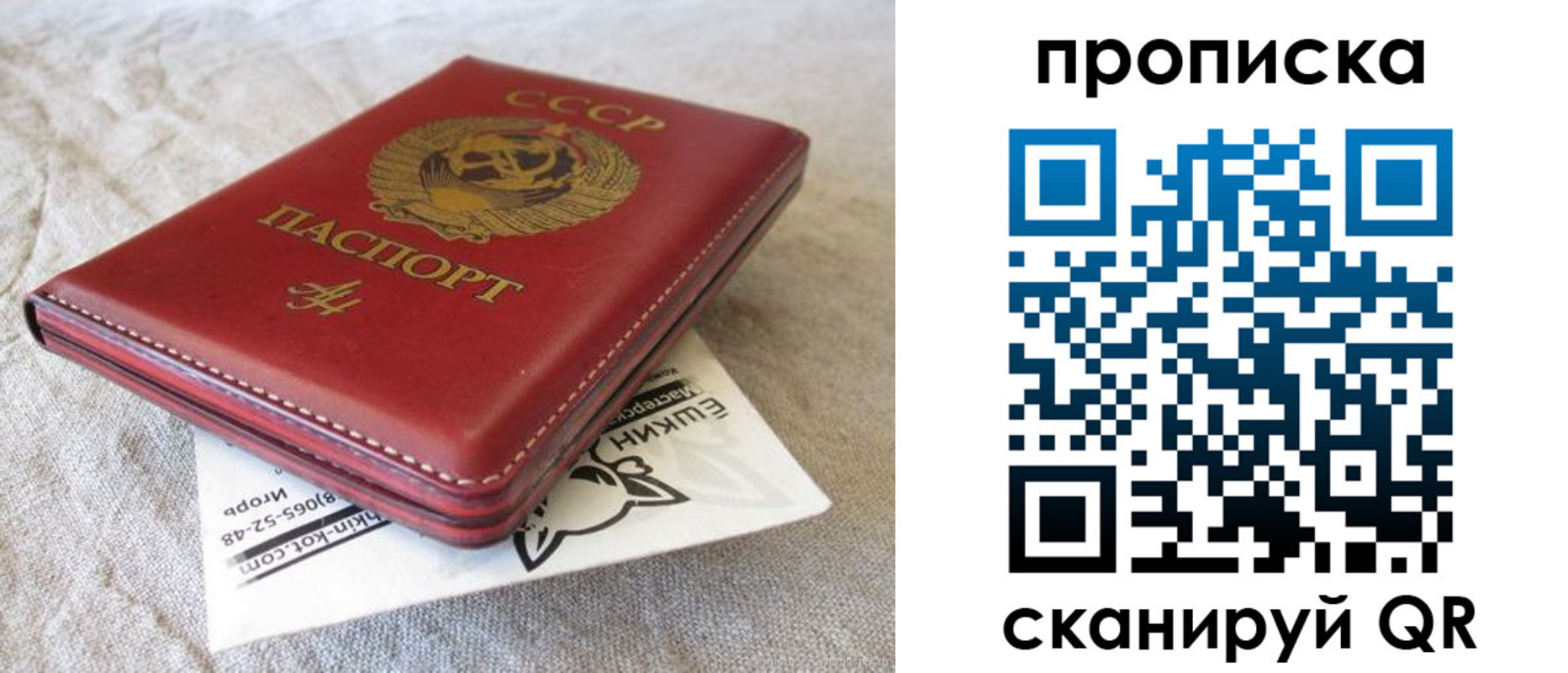 прописка для школы в Бабаево